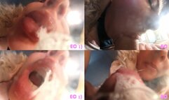 Extreme Close Up Blowjob And Kisses_1080p