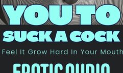 I Want You To Suck A Cock Bi Encouragement Soft Spoken Subliminal Whispers Audio