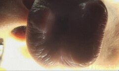 Paris "Kiss Me" 1920x1080