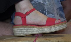 Cock stomping, trampling and crushing