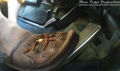 958-Patty Mesh Slippers Fast Drive Deville (Auxillary)