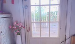 MyFreeCams - NaomiDee September 4 2024