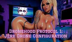 Dronehood Protocol 1: Jerk Drone Configuration