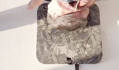 Flatstanley gets trampled by 3 models