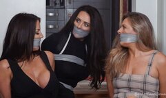 Charlie, Brianna & Brook-Maddison in: Encounter at Nightmare Keep: Baron Landscape's Droids Foil the Meddler but When She Escapes, the Plot Only Thickens!