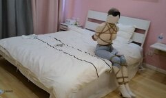 Super Seal Bundling 2 (Chinese model)