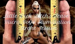 Little Dick Bitch’s Tease: Micro Boy’s Humiliation Stroke Session