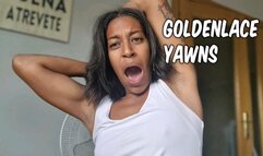 Goldenlace Yawning