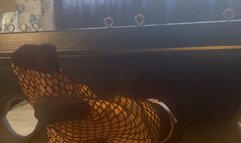 Kitty gets tickled in stocks by Harmony Again