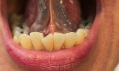 ORAL EXAMINATION | Elaine