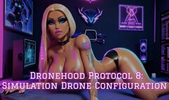 Dronehood Protocol 8: Simulation Drone Configuration