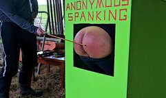 Coco caned in the hay shed