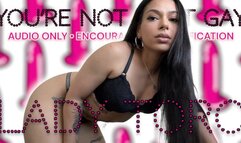 You're Not THAT Gay - Audio Only