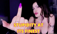 STUPIDITY AT ITS FINEST