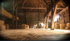 Castrated , gelded in the barn - ASMR, CASTRATION, GELDING