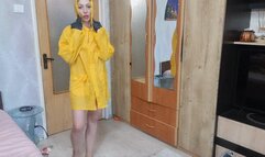 poncho pantyhose whipp cream