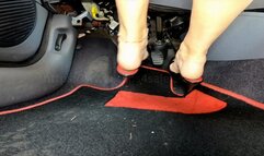 Madame Gorgia drives with mules - feet view