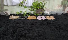 Alicia tries on many flip-flops to find out which one fits her feet best (2)