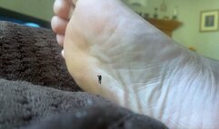 Playful Teenie Climbing all over Giantess Giant Soles 1080