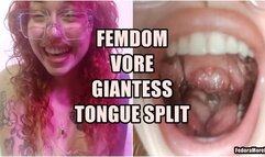 Tiny Slave's Final Mission