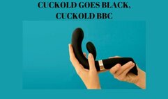 CUCKOLD GOES BLACK, CUCKOLD BBC EROTIC MESMERIZE - Cuckold Mesmerize [Cuckold Training] [BBC] [Superior Men] [Cuckold Sub Slave] [Cuckold Submissive]