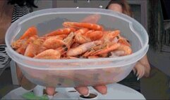 We eat shrimp and the next you can be J c