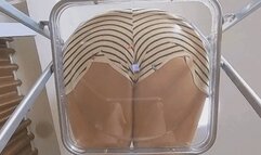 6K ANNA fart 360VR on this dwarf