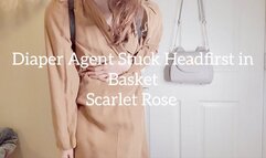 Diaper Agent Stuck Headfirst in Basket