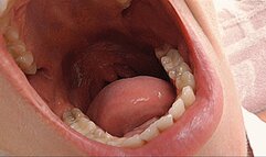 Blondie loves to yawn! MP4