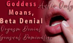 Goddess Moans, Beta Denial - AUDIO ONLY