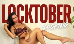 Locktober locking instructions