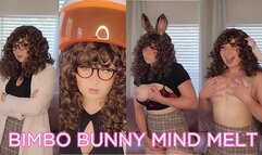 Bimbo Bunny Project