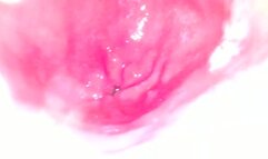 Bailey's Stomach RAW FOOTAGE