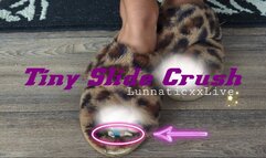 Tiny Slide Crush