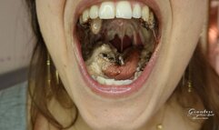 23min of pure eating