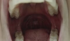 Lania shrinks her tiny slave, talks with him and swallows him