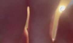 First trampling - fantasy