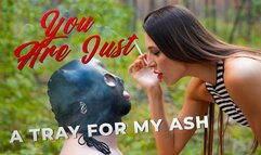 You Are Just a Tray for My Ash (4k)