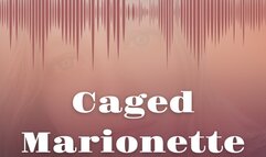 Caged Marionette