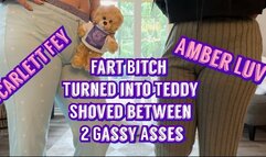 Turned Into Our Personal Teddy Bear