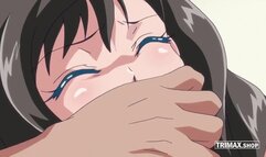 HENTAI THE ANIMATION