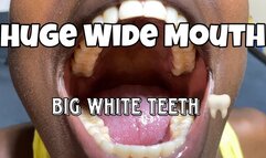 My second Mouth Tour and tongue play with saliva Rowanie has huge white teeth and a big mouth playing with her saliva and breathing out mist on the screen MP4