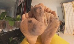 6K CC Dirty Feet 360VR