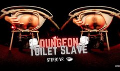DUNGEON TOILET SLAVE feat AstrodDomina (STEREO VR)