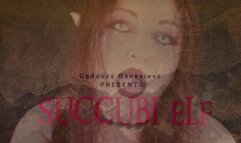 Succubi Elf
