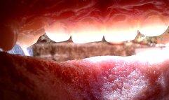 Out and in mouth tour in natural light