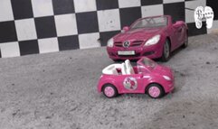 Two Cars for her sweet Clog