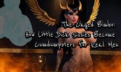 The Caged Bimbo: How Little Dick Sissies Become Cumdumpsters for Real Men