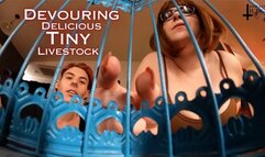 Devouring Delicious Tiny Livestock - VR 360 - featuring Kane Fawkes and Jane Judge, in this hungry giantess and giant vore video with tinies kept in cages and fattened up for months before being seasoned and prepped to cook and then swallowed raw, as your