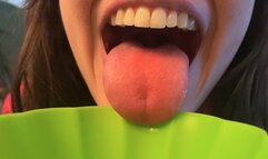 Bowl of Tiny Servants Giantess Vore